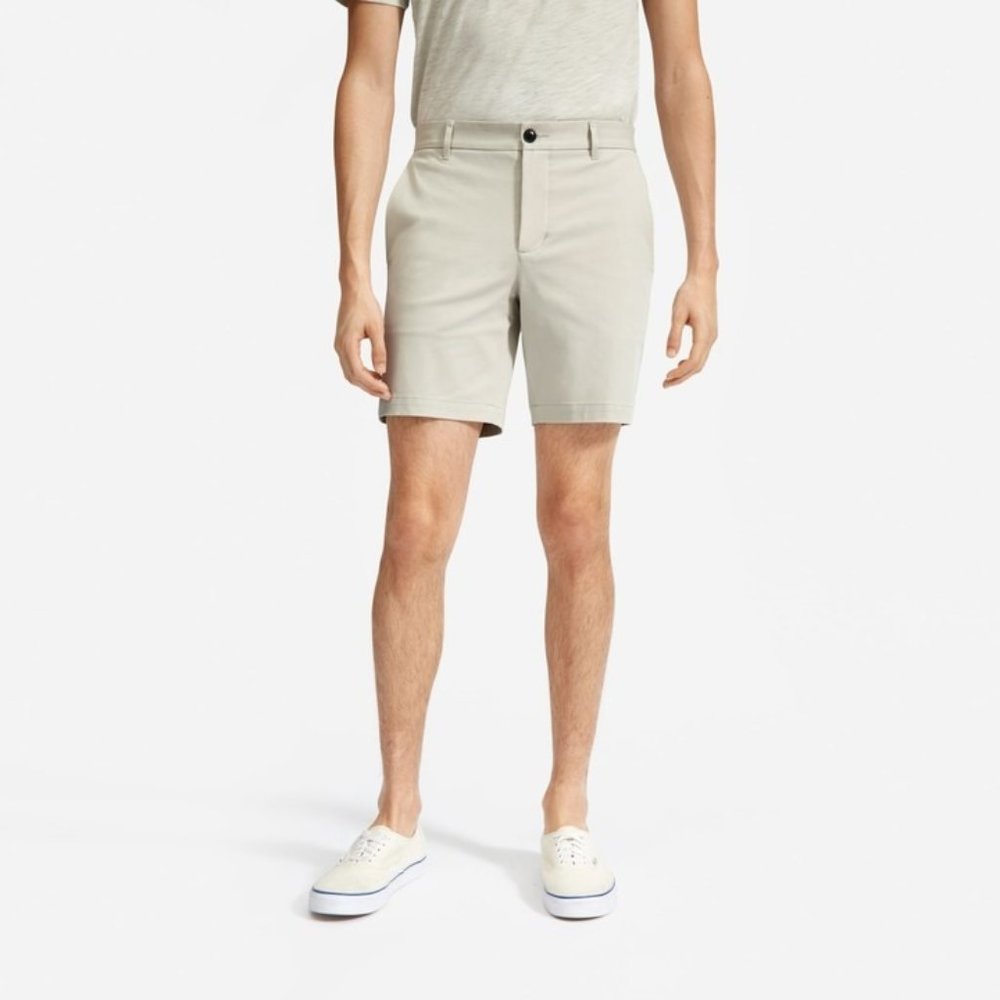 Everlane Performance Chino 7in Stone Size 34